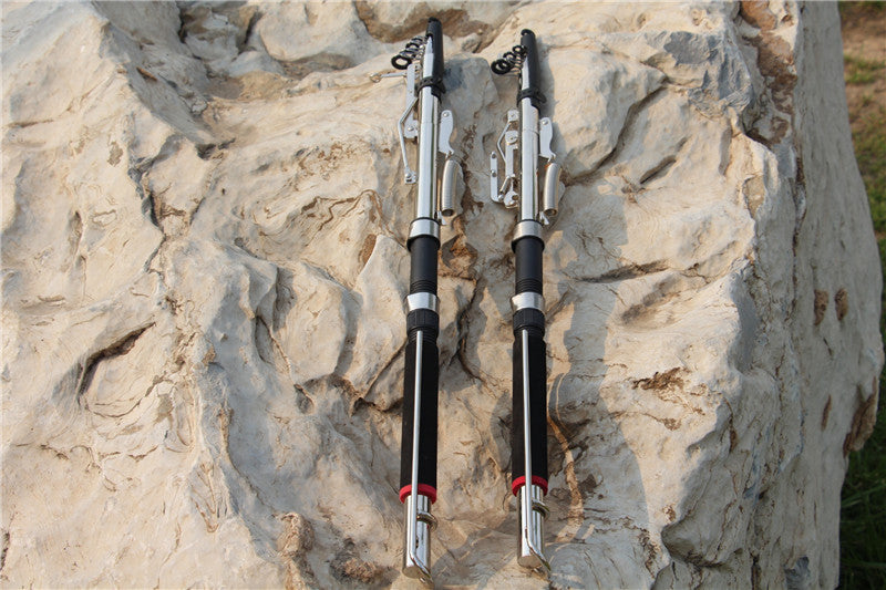 Automatic fishing rod pole